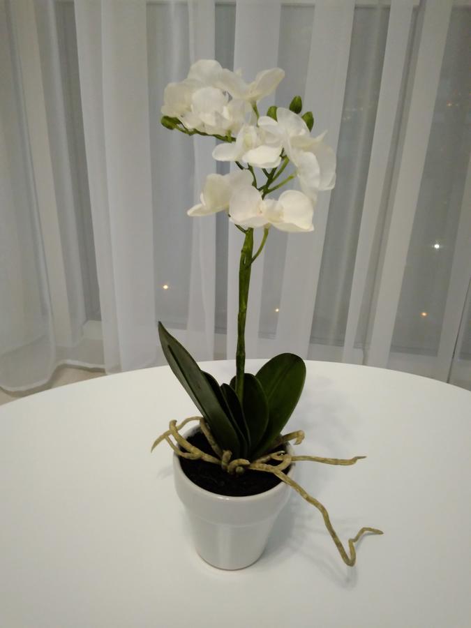 Astashkina Apartment Odessa Luaran gambar